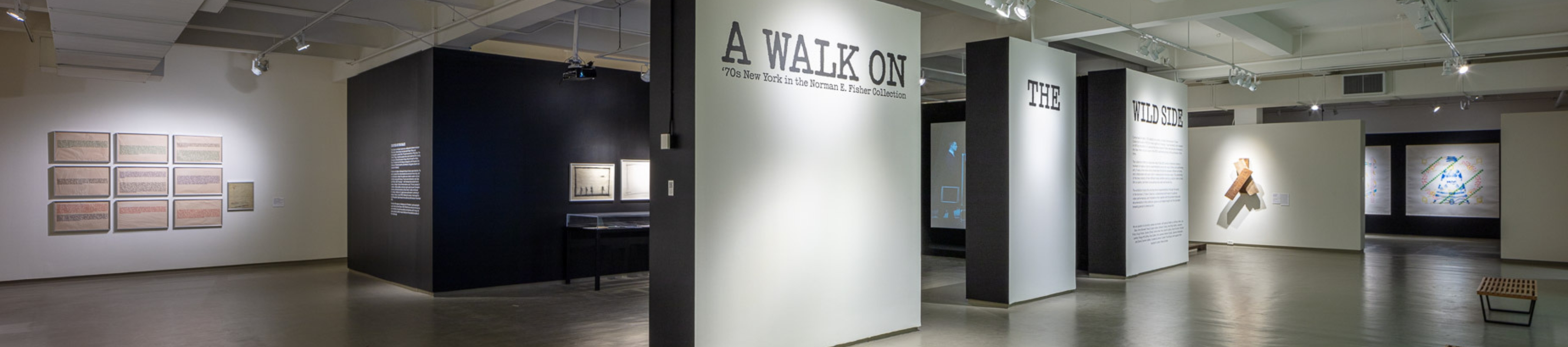 installation shot of the third floor of A Walk on the Wild Side: '70s New York in the Norman E. Fisher Collection