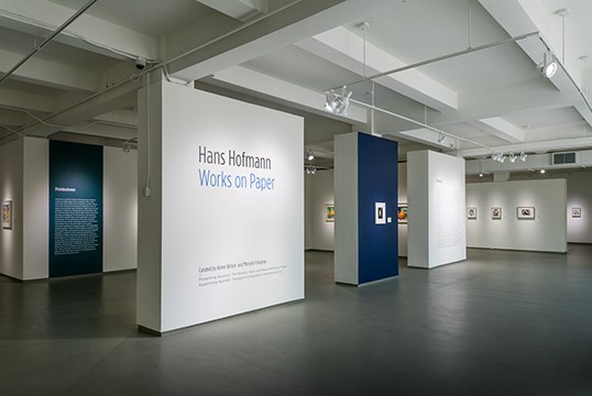 Hans Hofmann Works on Paper