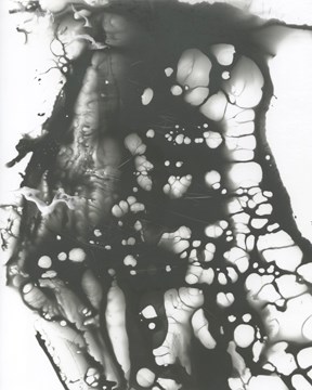 Chemical by James Welling