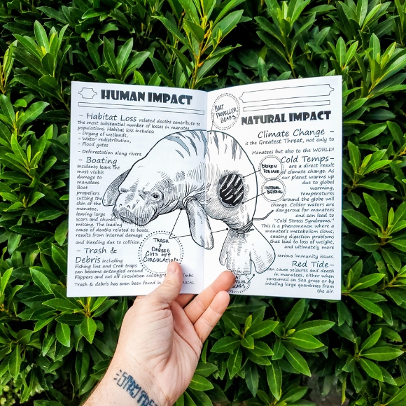 hand holding up a hand made zine about manatees