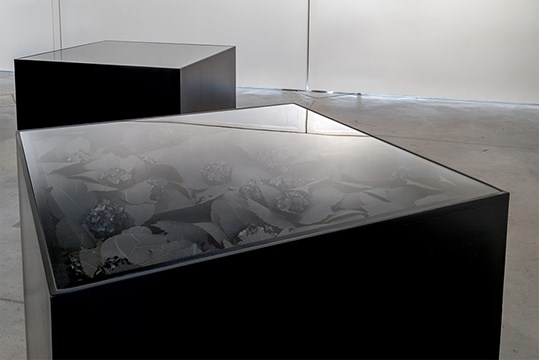 Claude Glass (Cube 1) by Lauren Fensterstock