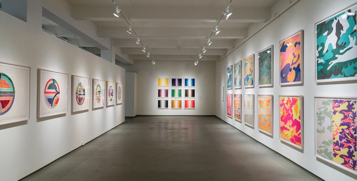 In Living Color installation view