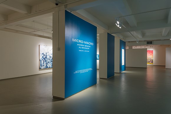 entrance to Micro-Macro: Andrew Sendor and Ali Banisdar exhibit