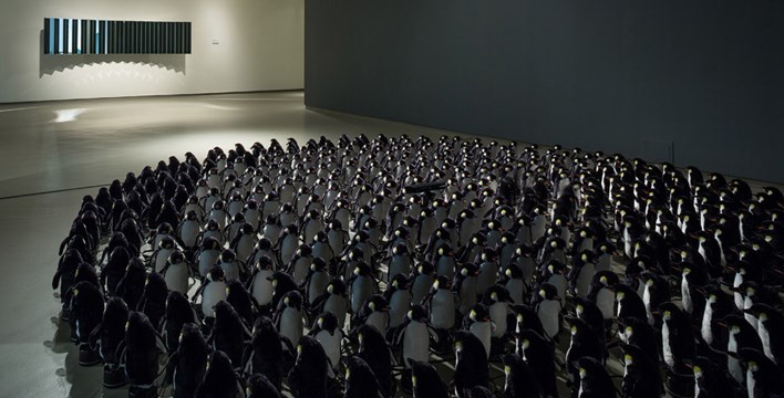 an oval full of penguins