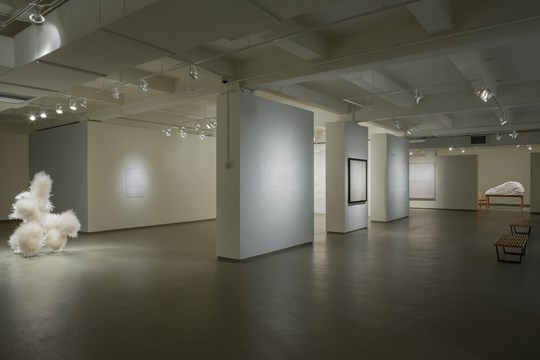 view of the exhibition room for White