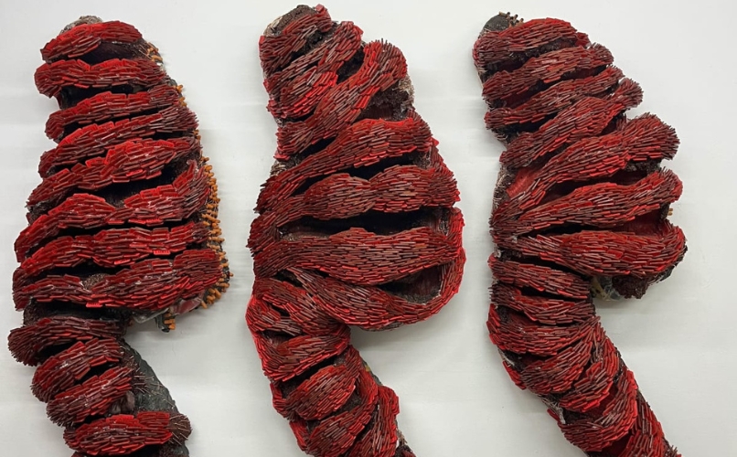 Feeding Frenzy by Whitney Oldenburg click for more information about this exhibition