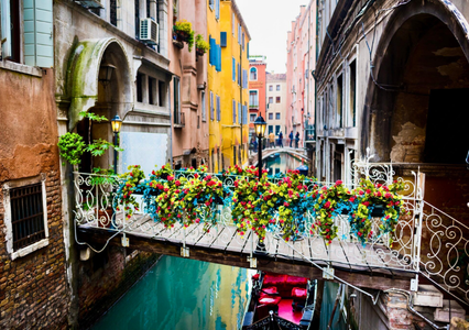 Flower covered bridge over canal in Dorsoduro Italy