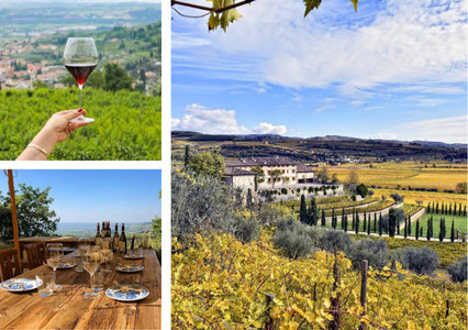 Images of wind tour and dinner in Valpolicella
